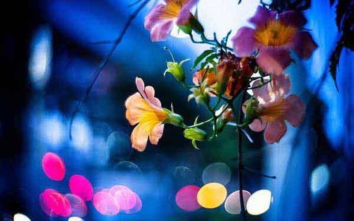 什么是智慧停車，智慧停車的發(fā)展趨勢有哪些？